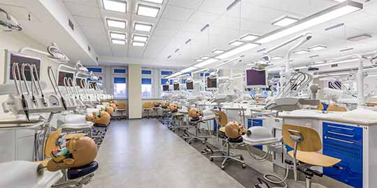 Bright interior in medical academy
